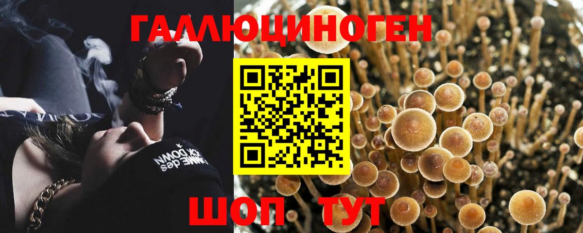 Псилоцибиновые грибы мухоморы Кинель