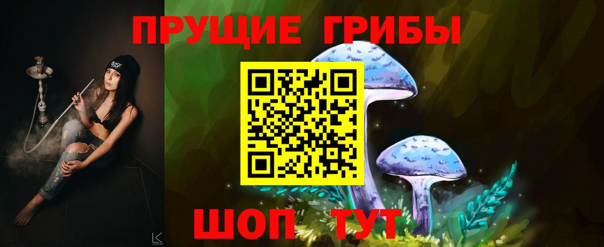 закладка  Галлюциногенные грибы Cubensis  Вход с VPN  Кинель 
